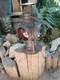 Antique The ADLAKE Non-Sweating Lamp Chicago Railroad Train Switch Lantern