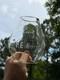 Pacific Electric Railway PE Ry Clear Etched Corning Tall Globe Railroad Lantern