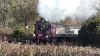 Railway Preservation Society Of Ireland Rpsi Santa Trains 2024 With Irish Steam Loco No 131